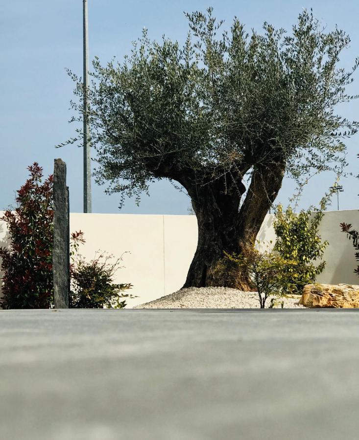 L'Oasis Vendargues Bed & Breakfast Bagian luar foto
