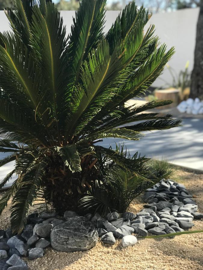 L'Oasis Vendargues Bed & Breakfast Bagian luar foto
